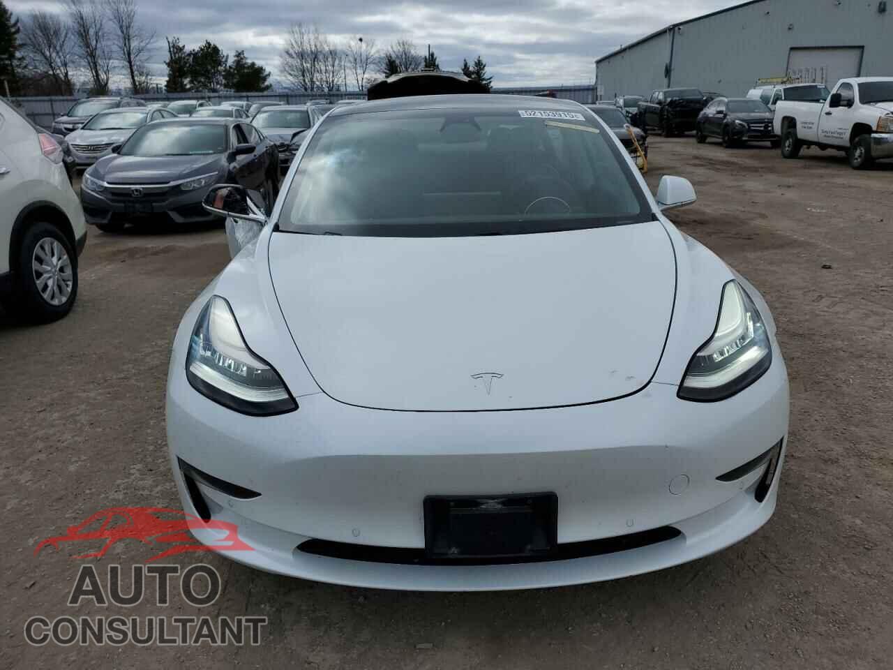 TESLA MODEL 3 2019 - 5YJ3E1EA9KF464589