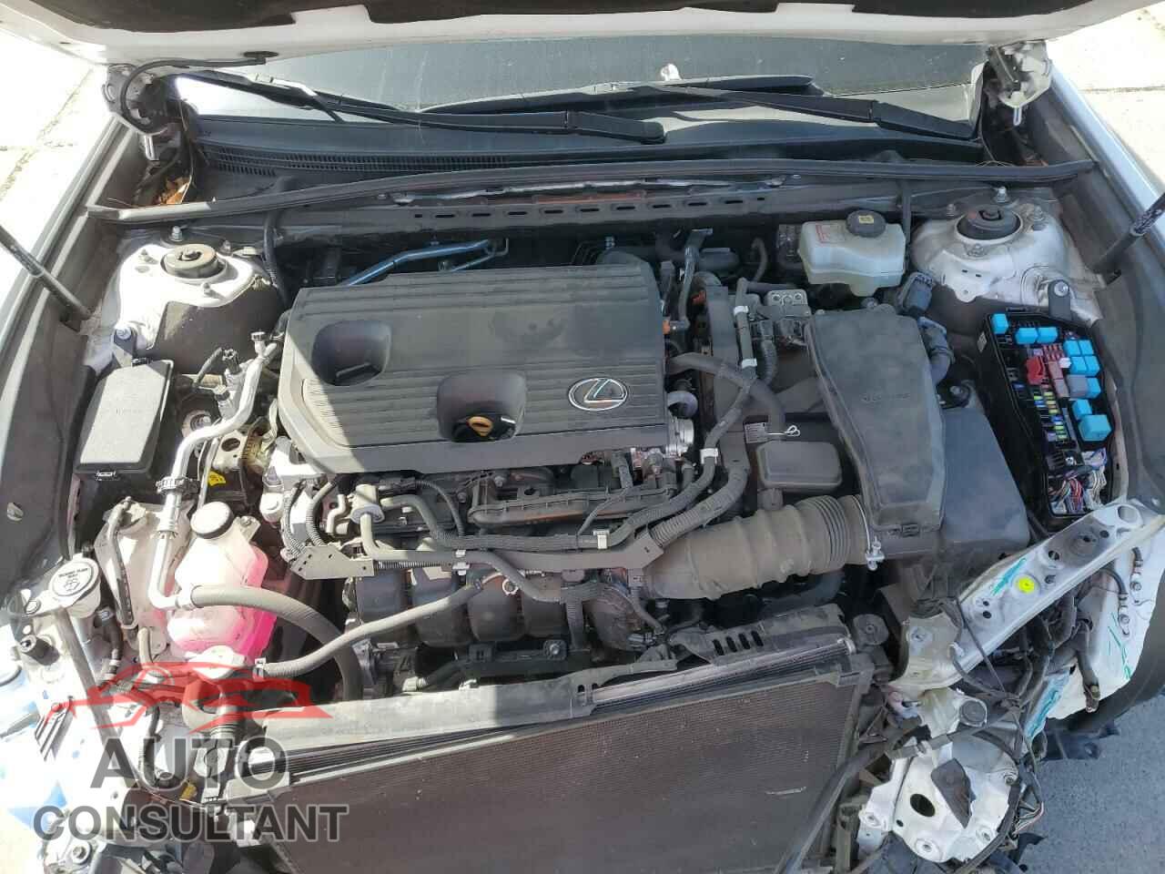 LEXUS ES300 2022 - 58ADA1C19NU013827