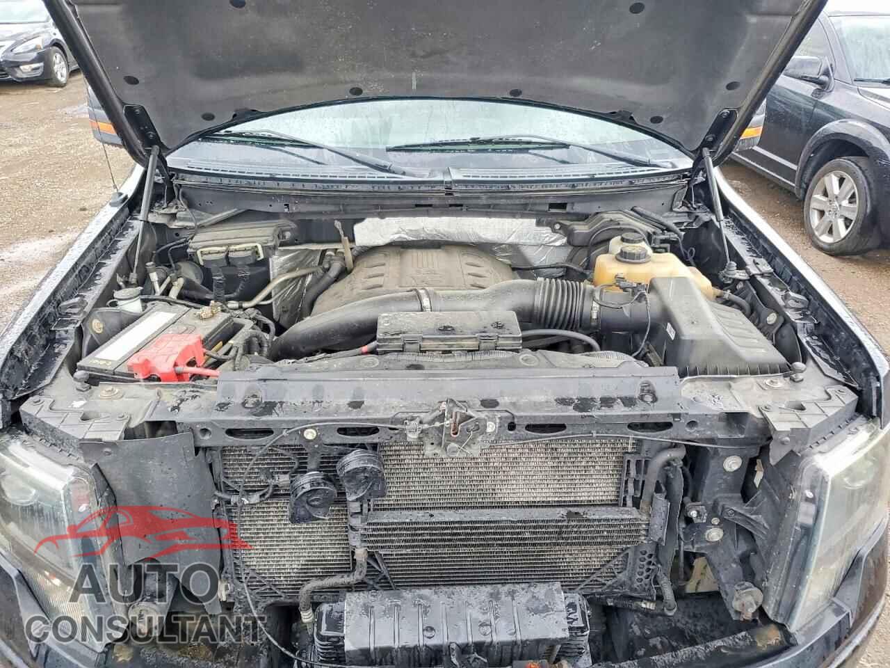 FORD F150 2013 - 1FTFW1ET7DFA32531
