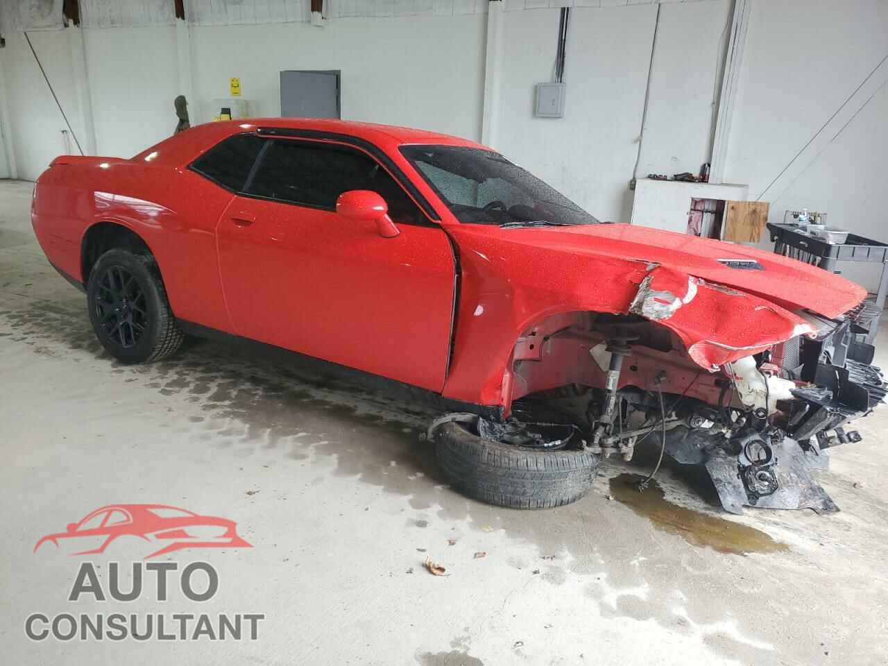DODGE CHALLENGER 2019 - 2C3CDZAG9KH687547