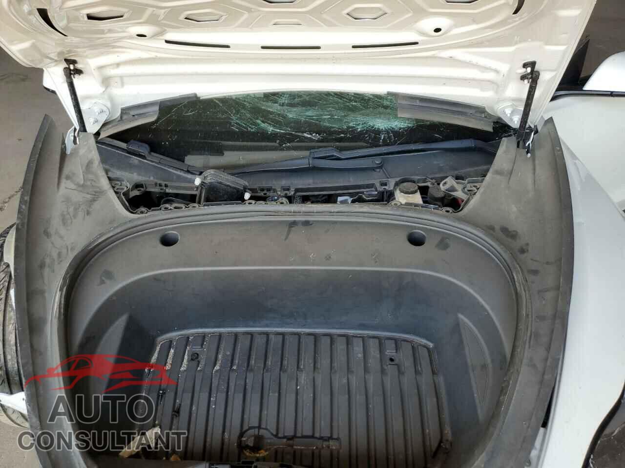 TESLA MODEL 3 2021 - 5YJ3E1EA3MF938801