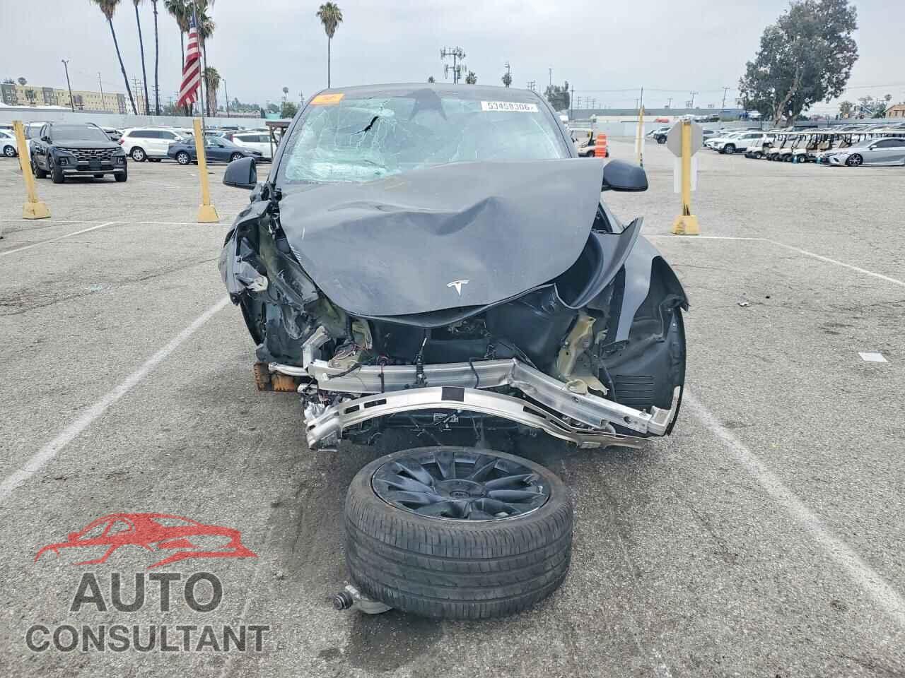 TESLA MODEL Y 2024 - 7SAYGDED2RF020317