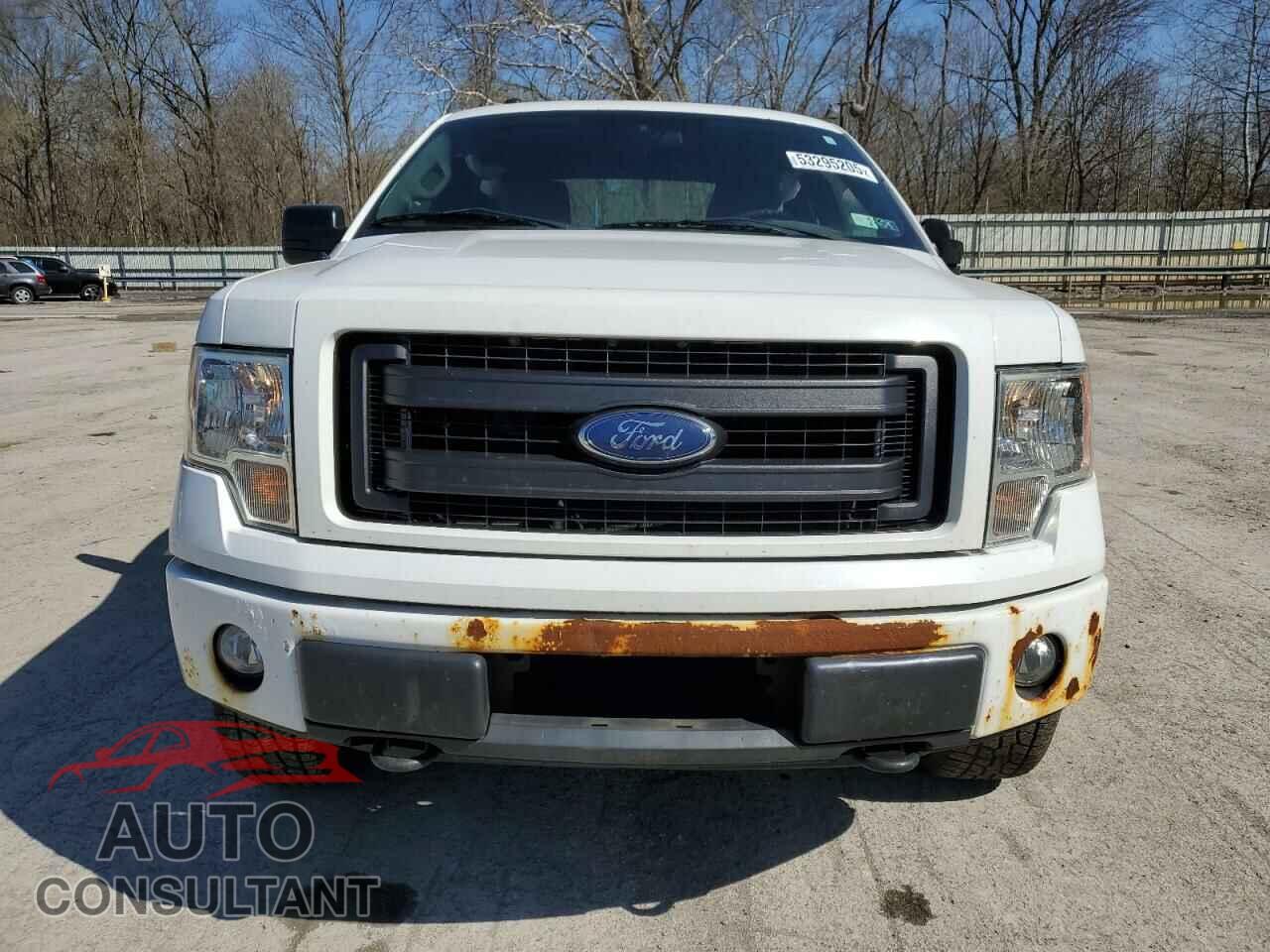 FORD F-150 2013 - 1FTFX1EF6DFA23830