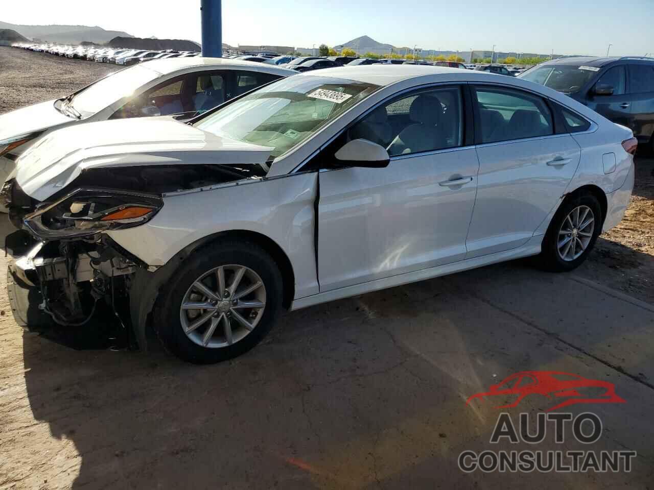 HYUNDAI SONATA 2018 - 5NPE24AF3JH724246