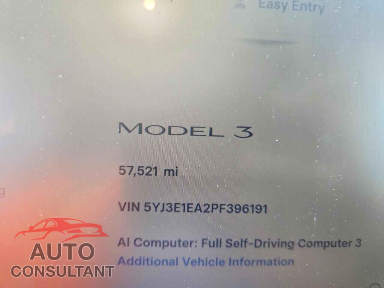 TESLA MODEL 3 2023 - 5YJ3E1EA2PF396191