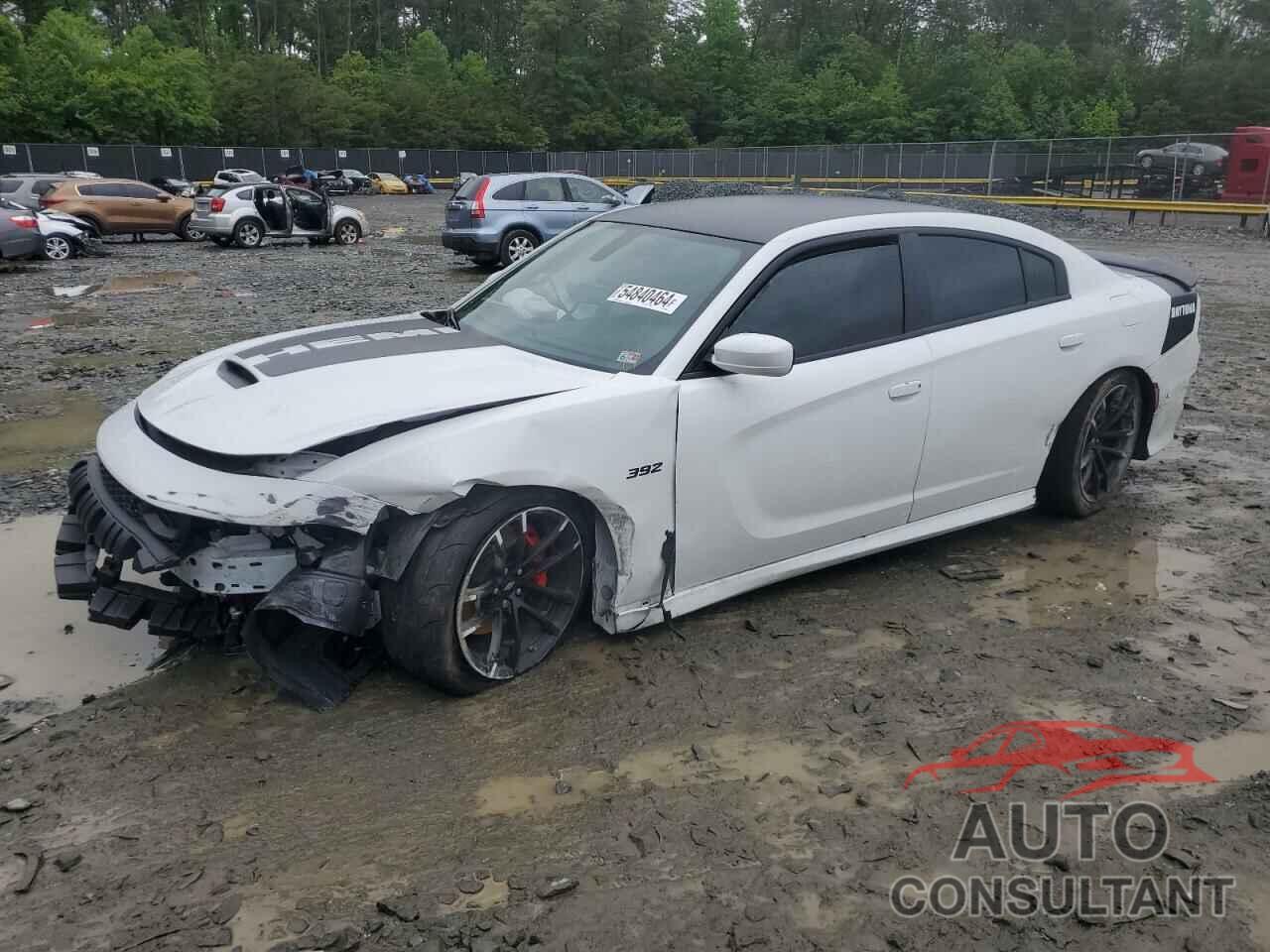 DODGE CHARGER 2022 - 2C3CDXGJ9NH208958