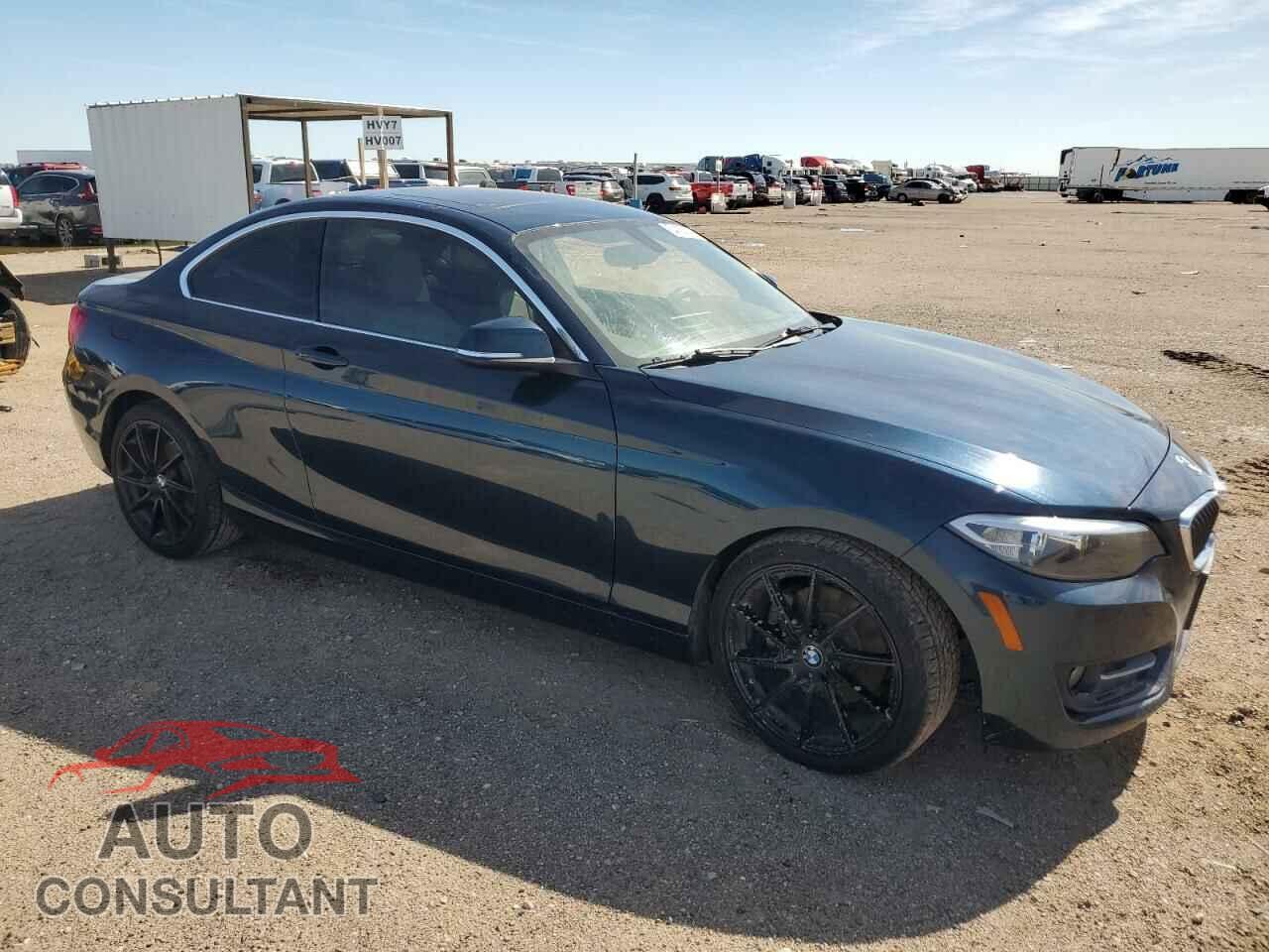 BMW 2 SERIES 2017 - WBA2F9C31H7A40284