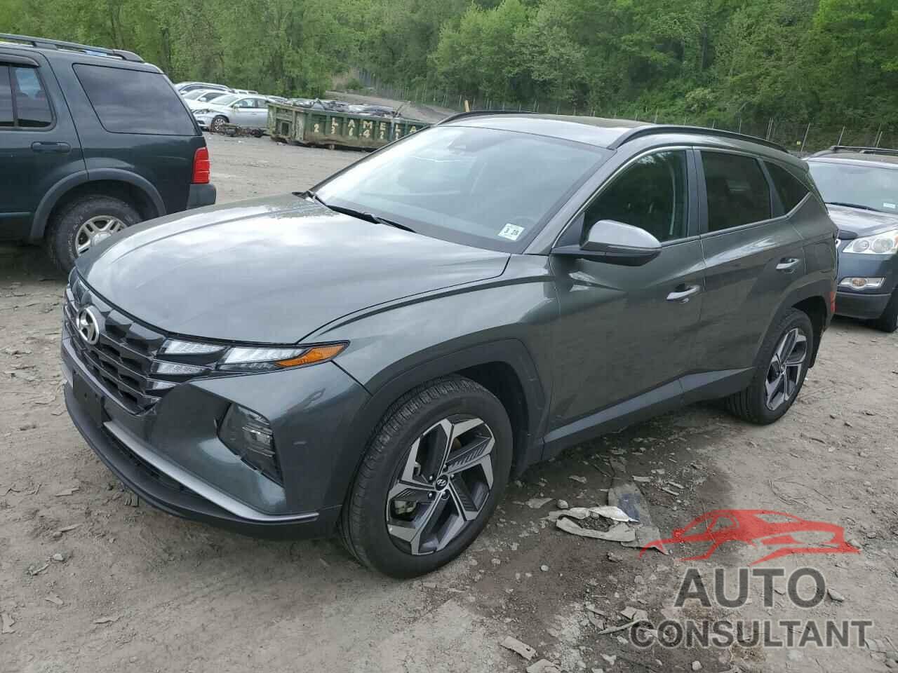 HYUNDAI TUCSON 2023 - 5NMJFCAEXPH242691