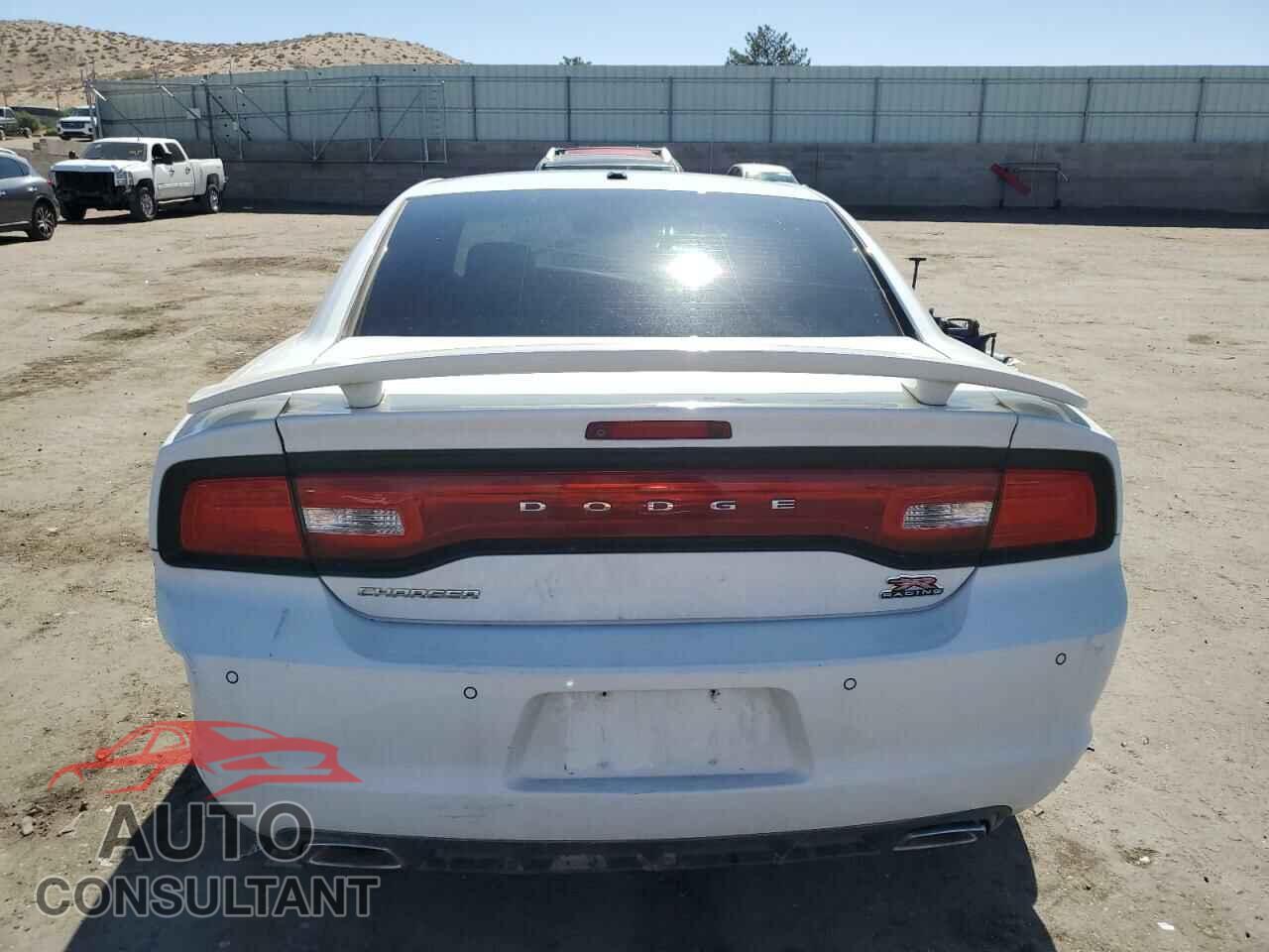 DODGE CHARGER 2013 - 2C3CDXCT7DH516376