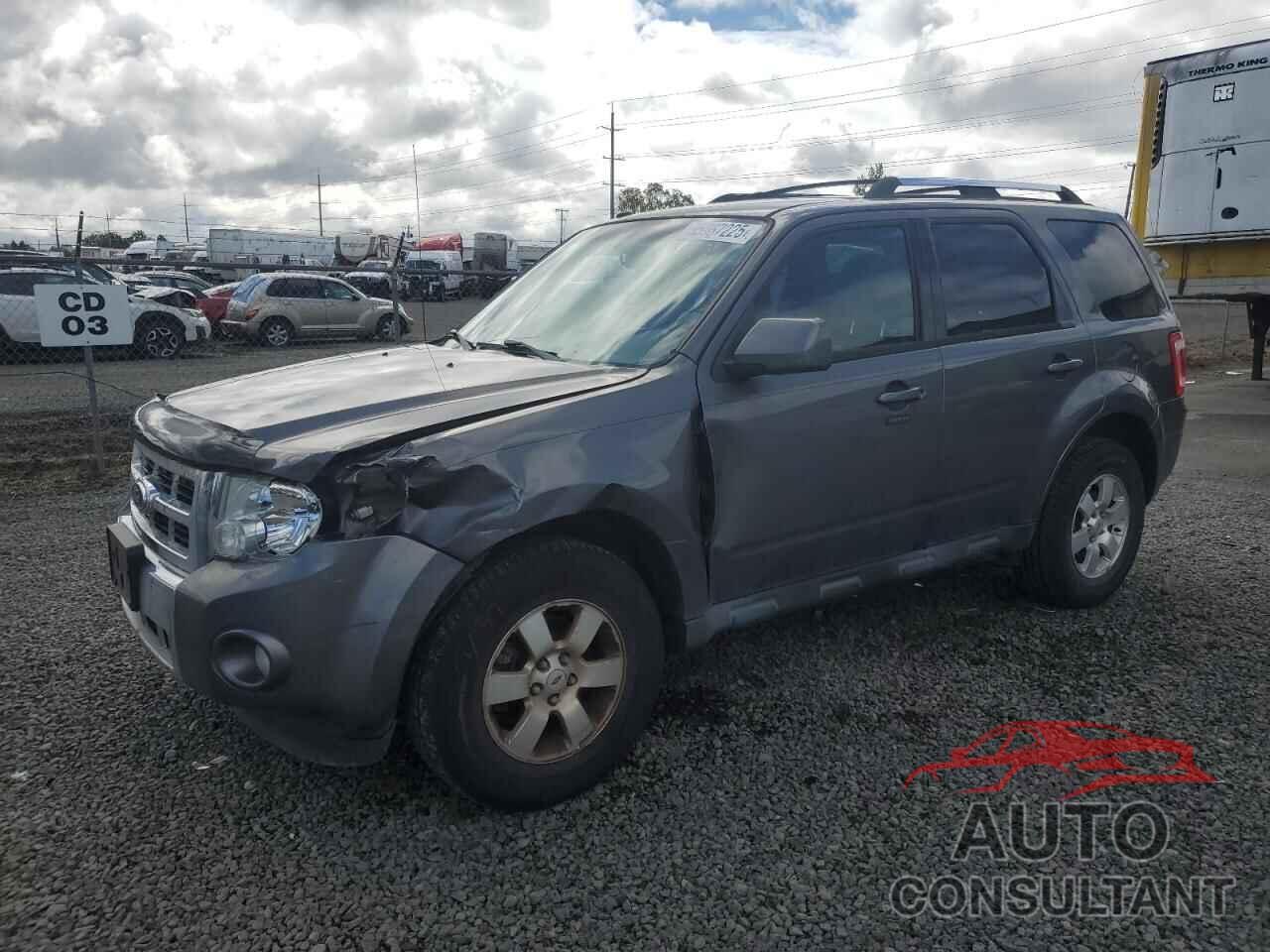 FORD ESCAPE 2011 - 1FMCU0EG1BKB79062