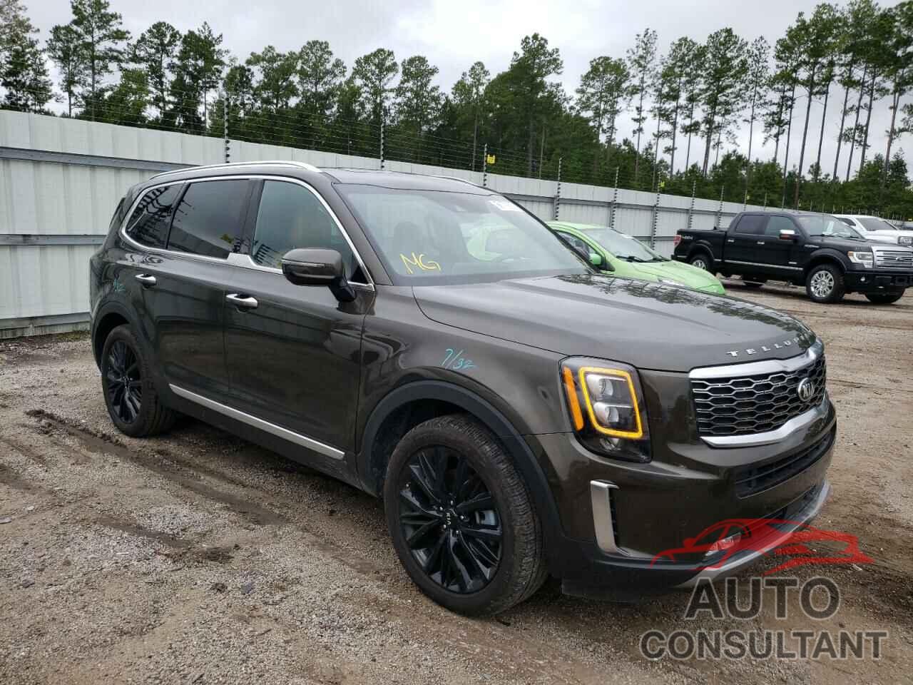 KIA TELLURIDE 2021 - 5XYP54HC7MG163945