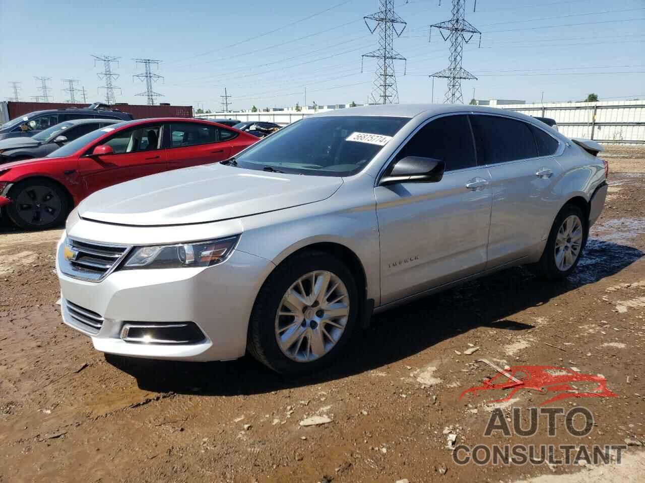 CHEVROLET IMPALA 2019 - 1G11Y5S39KU138917