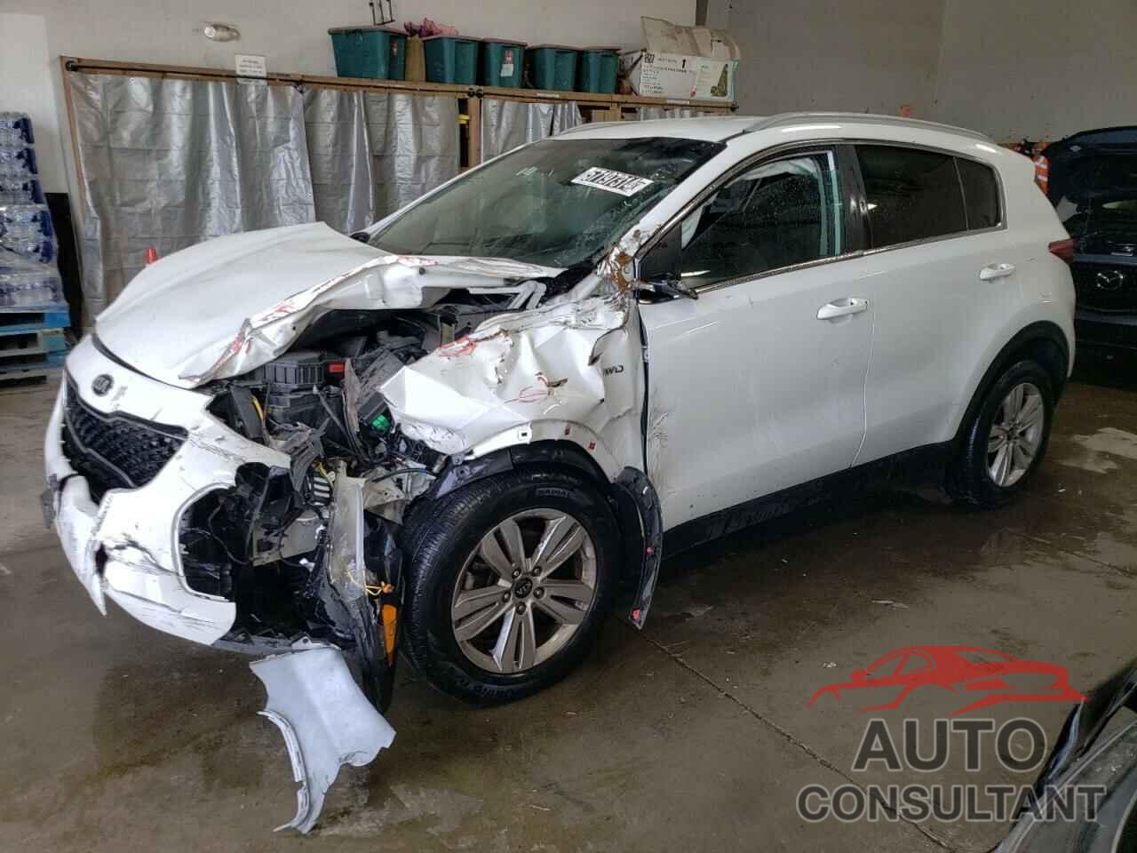 KIA SPORTAGE 2019 - KNDPMCAC2K7541543