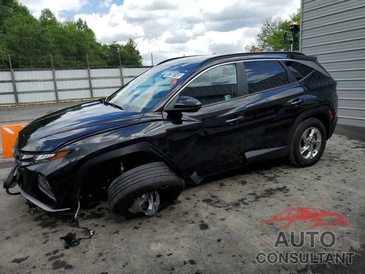 HYUNDAI TUCSON 2024 - 5NMJBCDEXRH386770