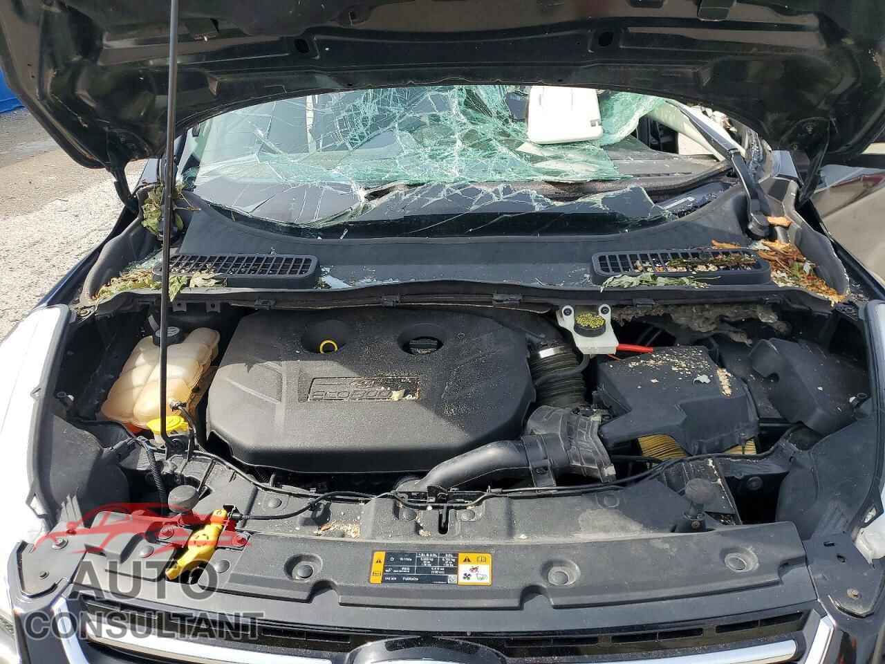 FORD ESCAPE 2013 - 1FMCU0H92DUD36070