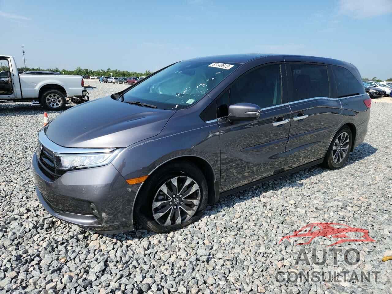 HONDA All Models 2023 - 5FNRL6H61PB052646