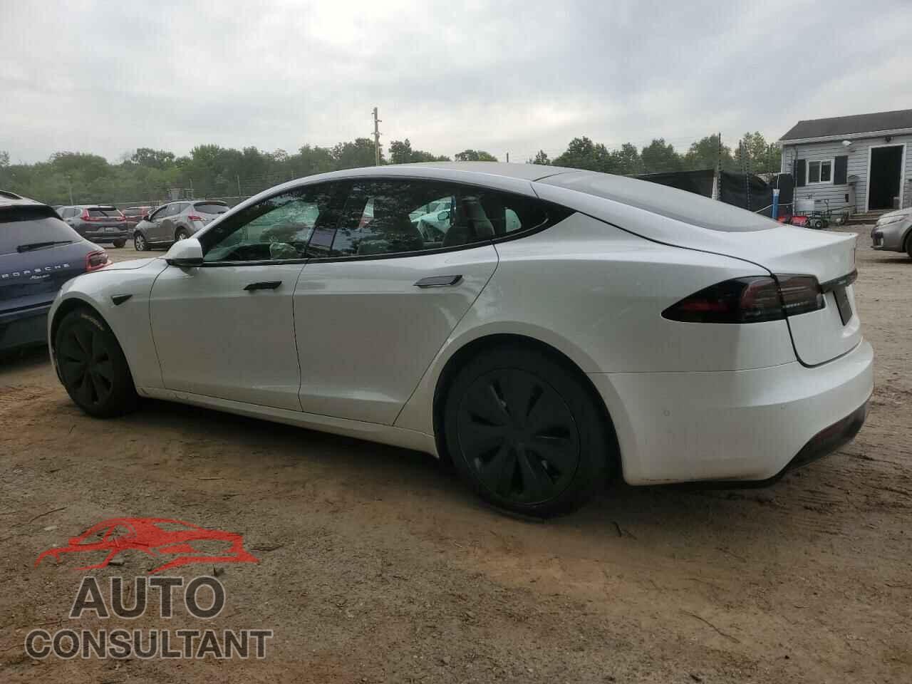 TESLA MODEL S 2019 - 5YJSA1E59NF487837