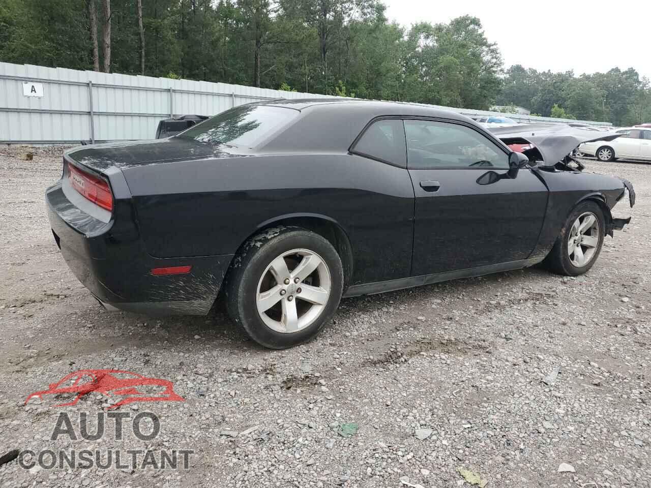 DODGE CHALLENGER 2012 - 2C3CDYAG4CH294955