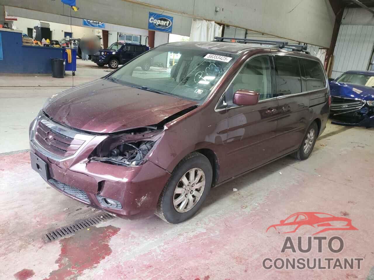 HONDA All Models 2009 - 5FNRL38449B020631