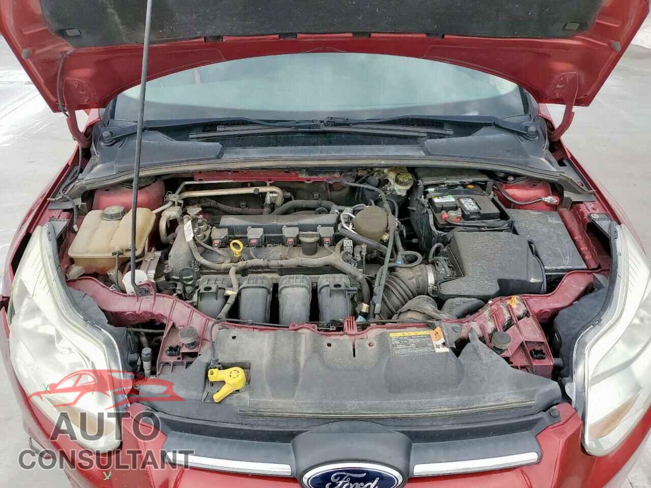 FORD FOCUS 2014 - 1FADP3F22EL162456