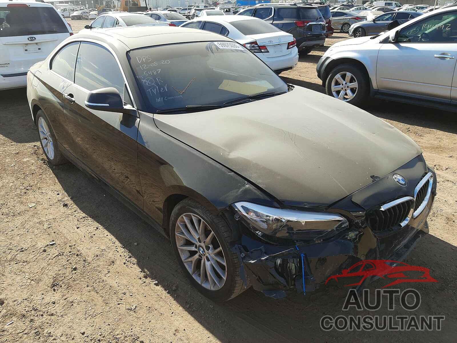 BMW 2 SERIES 2016 - WBA1F9C53GV545487