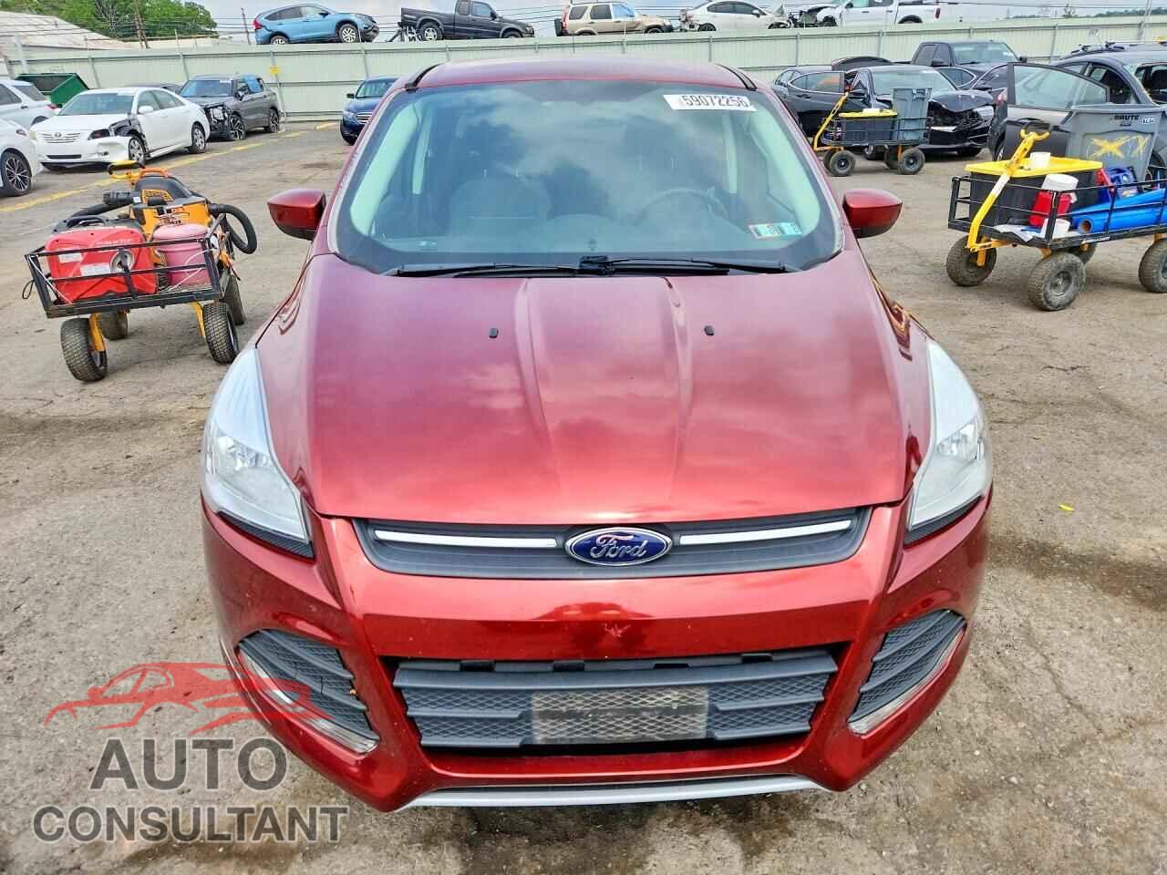 FORD ESCAPE 2014 - 1FMCU0GX4EUB54324