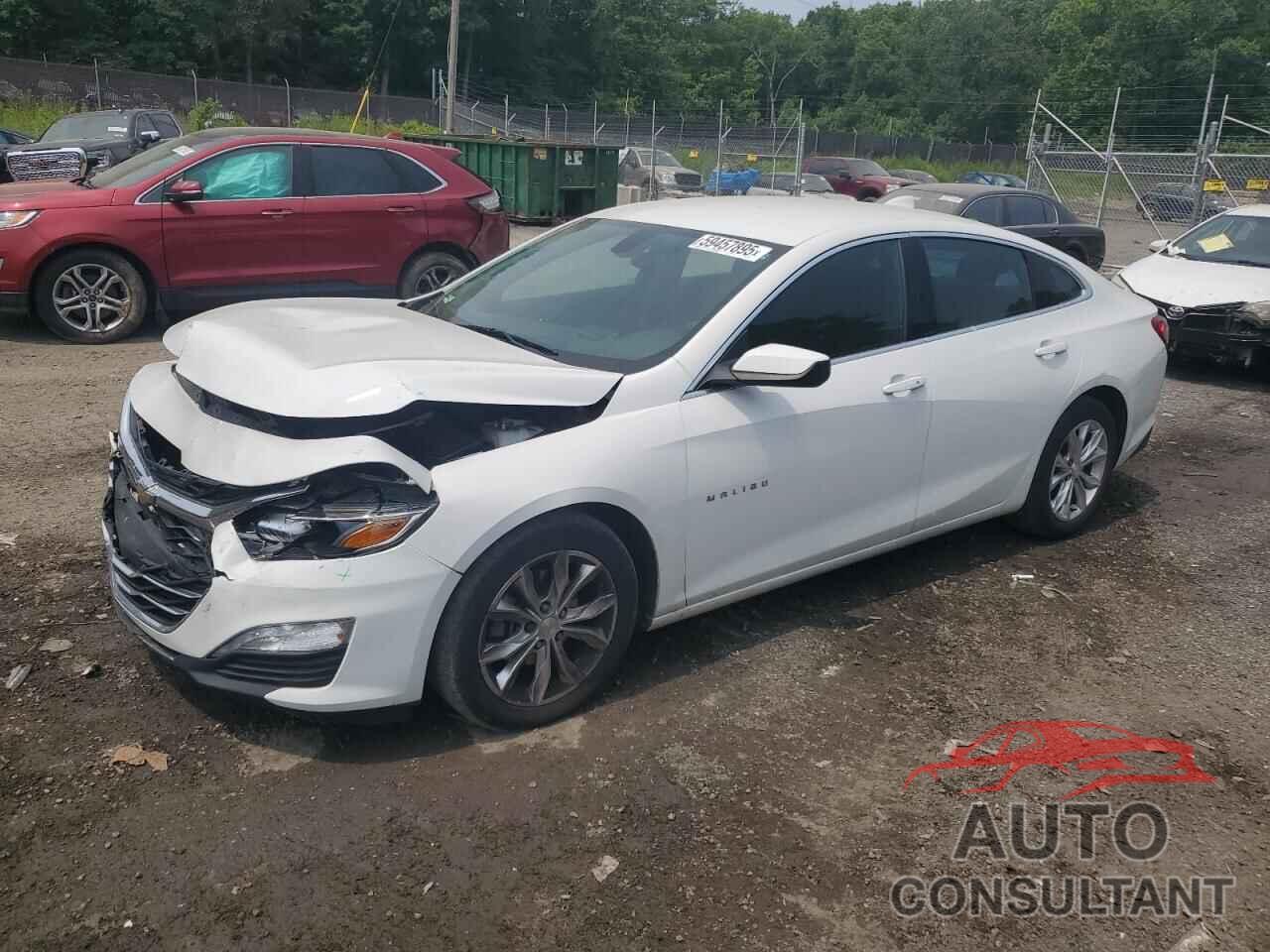 CHEVROLET MALIBU 2019 - 1G1ZD5ST8KF226425