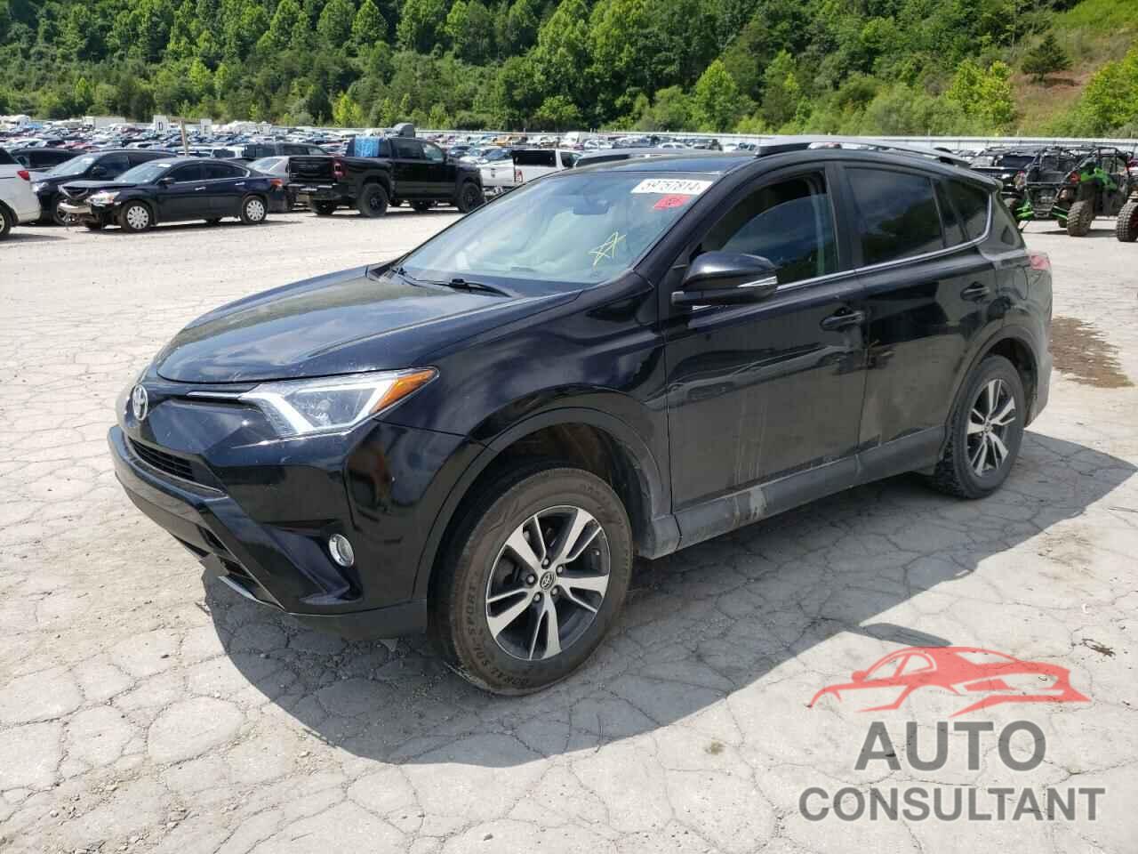 TOYOTA RAV4 2016 - 2T3WFREV6GW247241