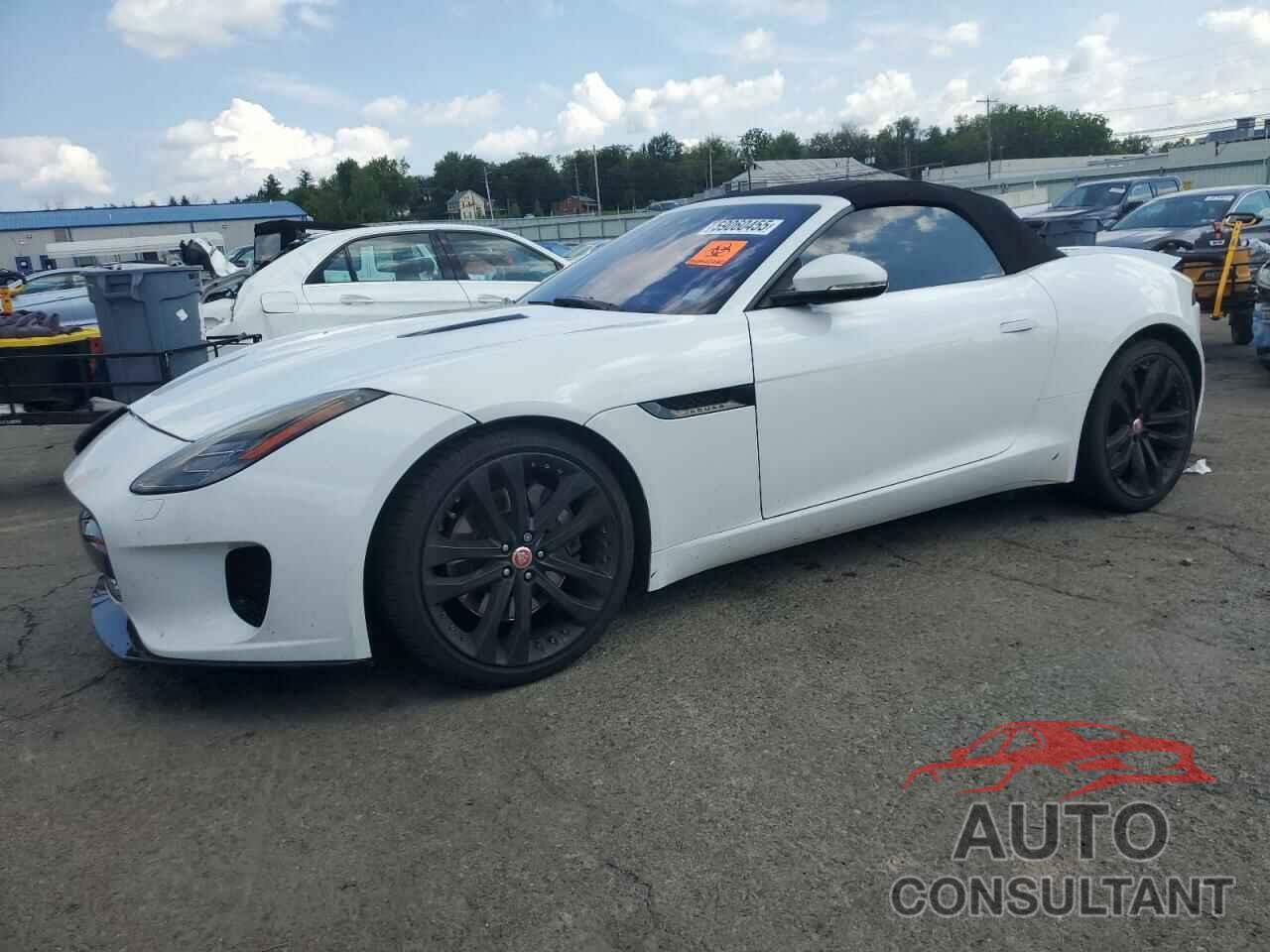JAGUAR F-TYPE 2019 - SAJDD5GX1KCK62389