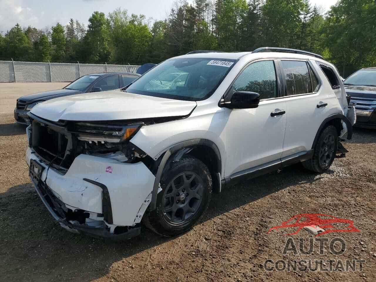 HONDA PILOT 2023 - 5FNYG1H69PB502529