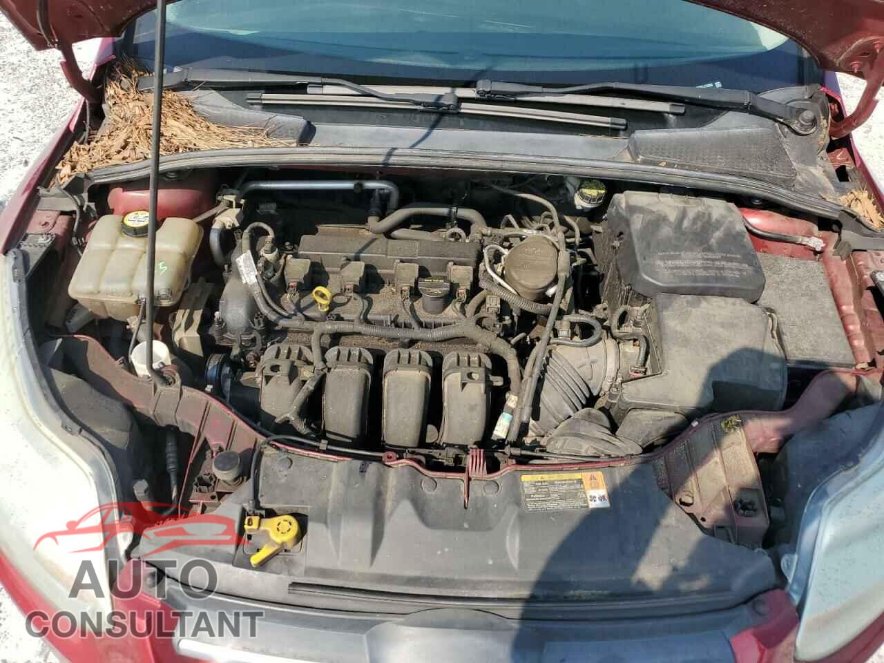 FORD FOCUS 2014 - 1FADP3F27EL114306