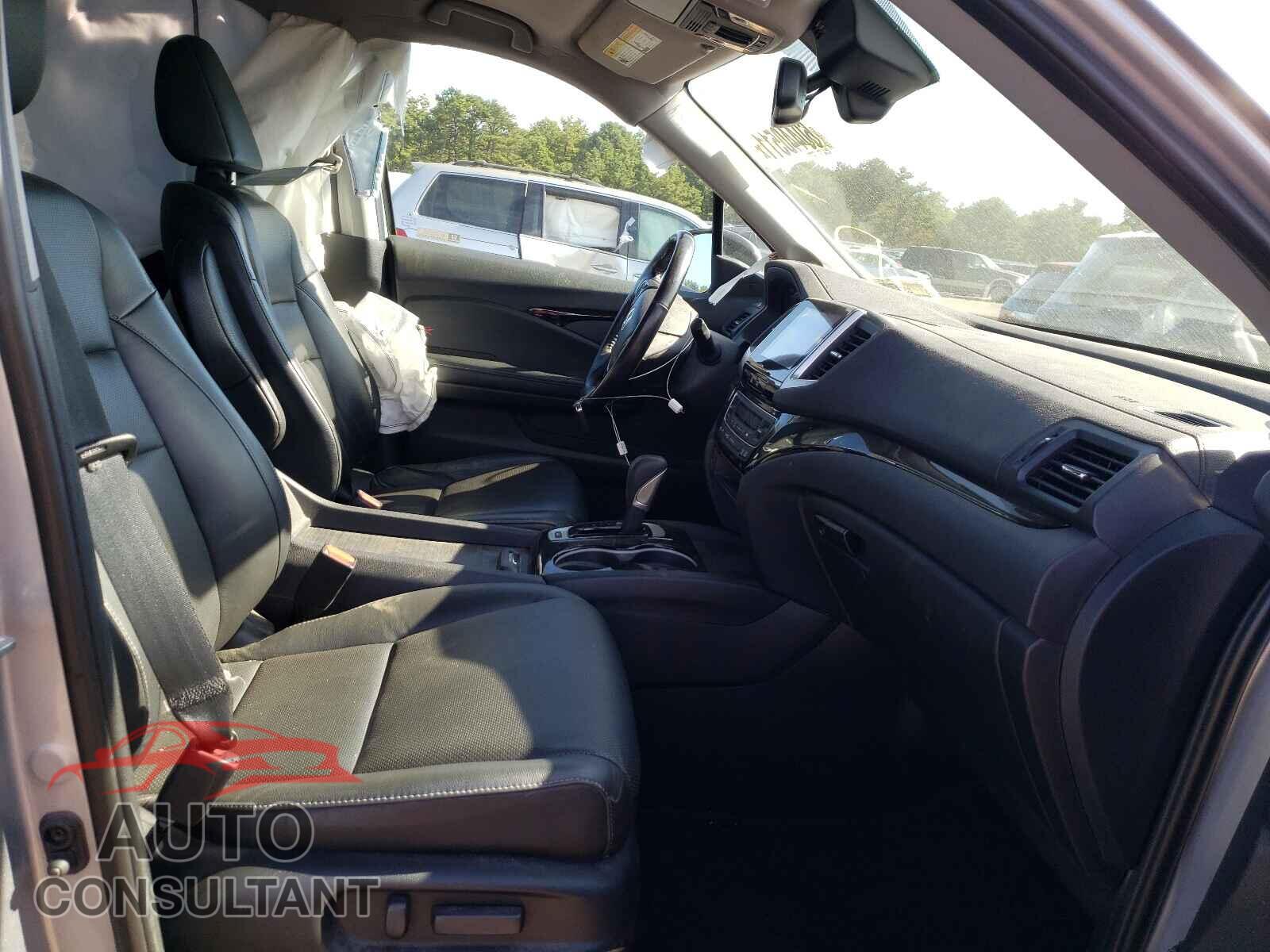 HONDA RIDGELINE 2019 - 5FPYK3F79KB028538