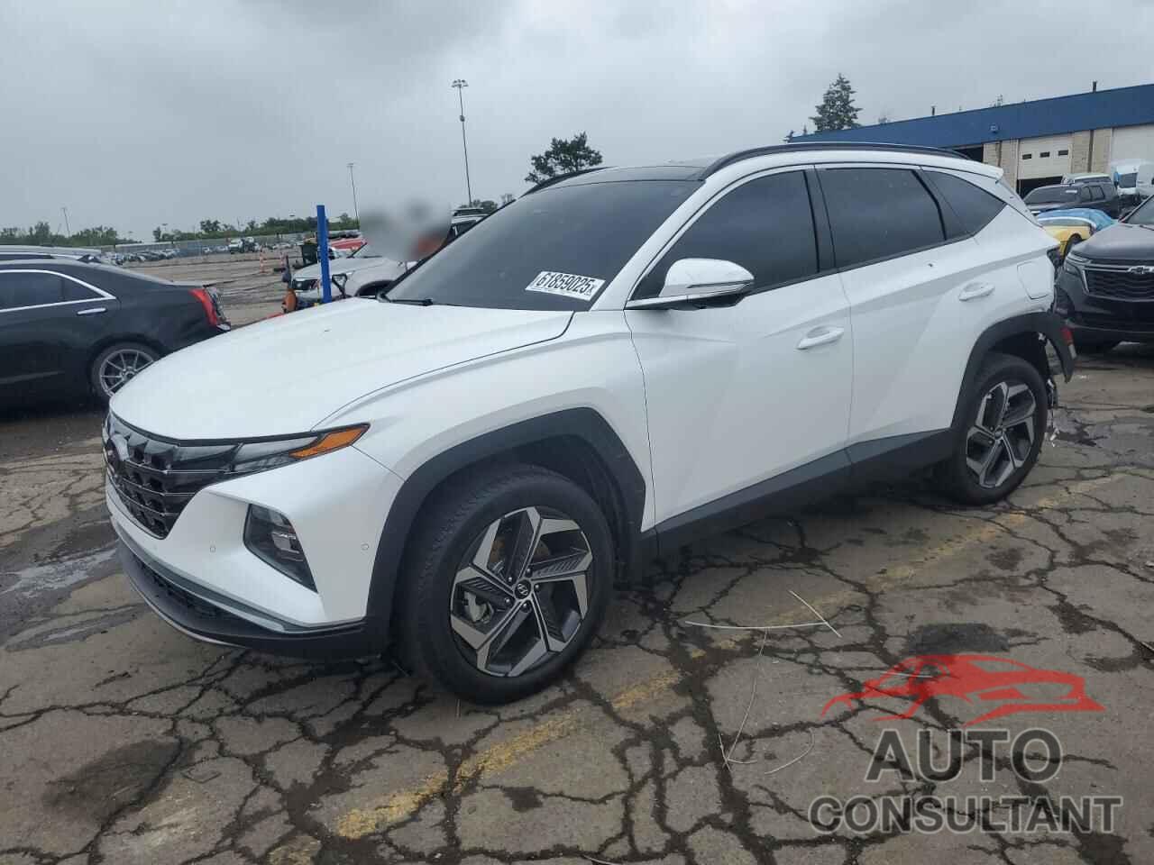 HYUNDAI TUCSON 2023 - 5NMJECAE9PH233581