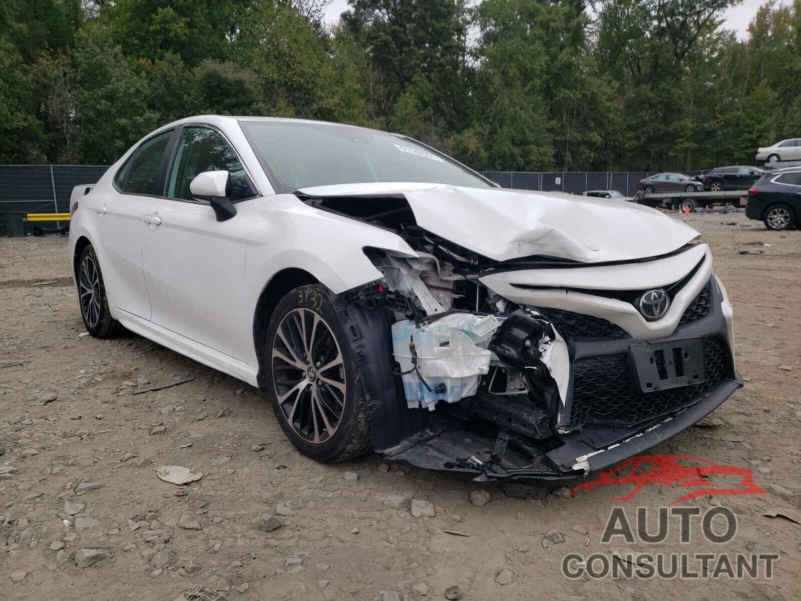 TOYOTA CAMRY 2019 - 4T1B11HK8KU754059