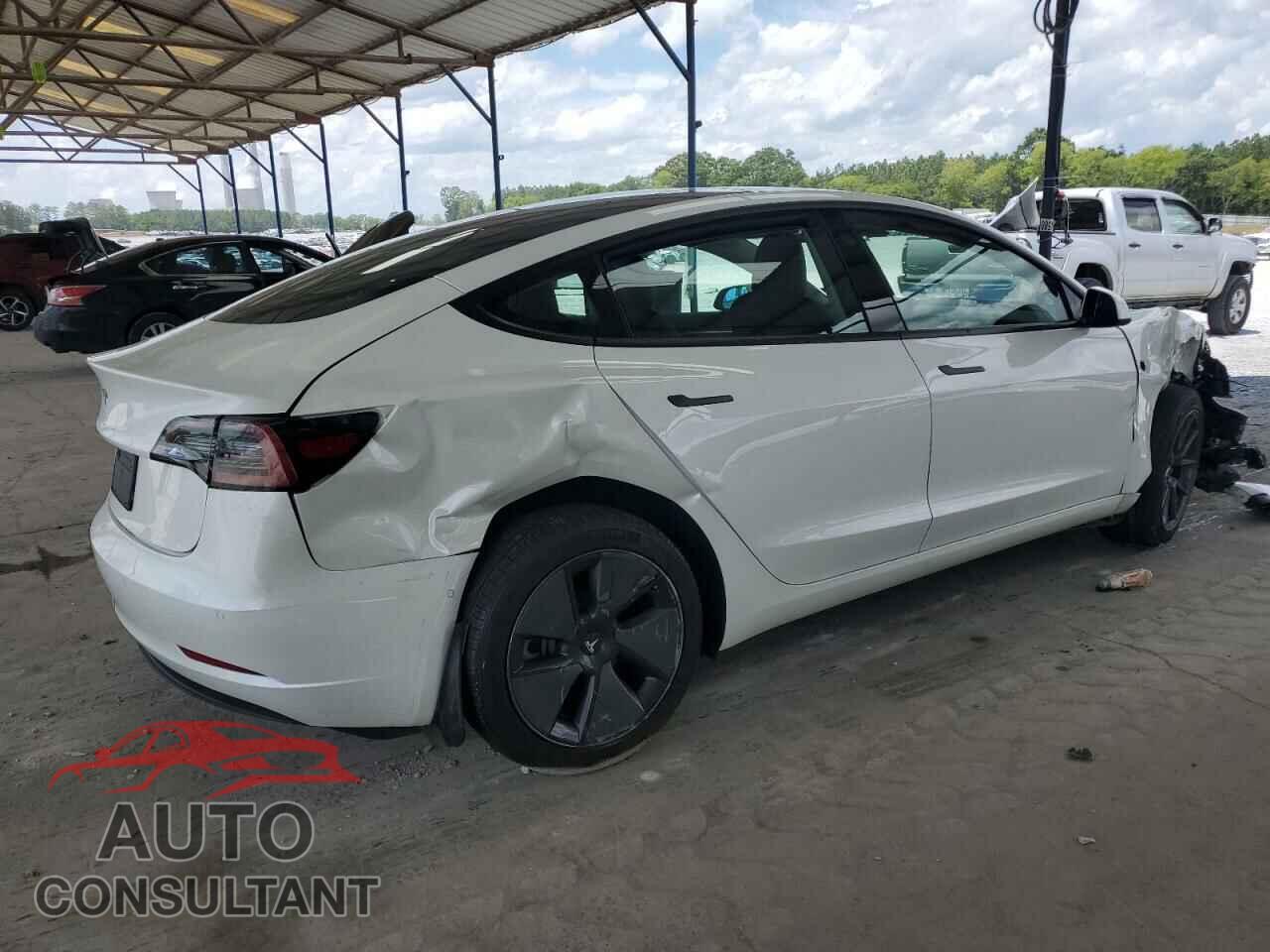 TESLA MODEL 3 2021 - 5YJ3E1EA3MF955517