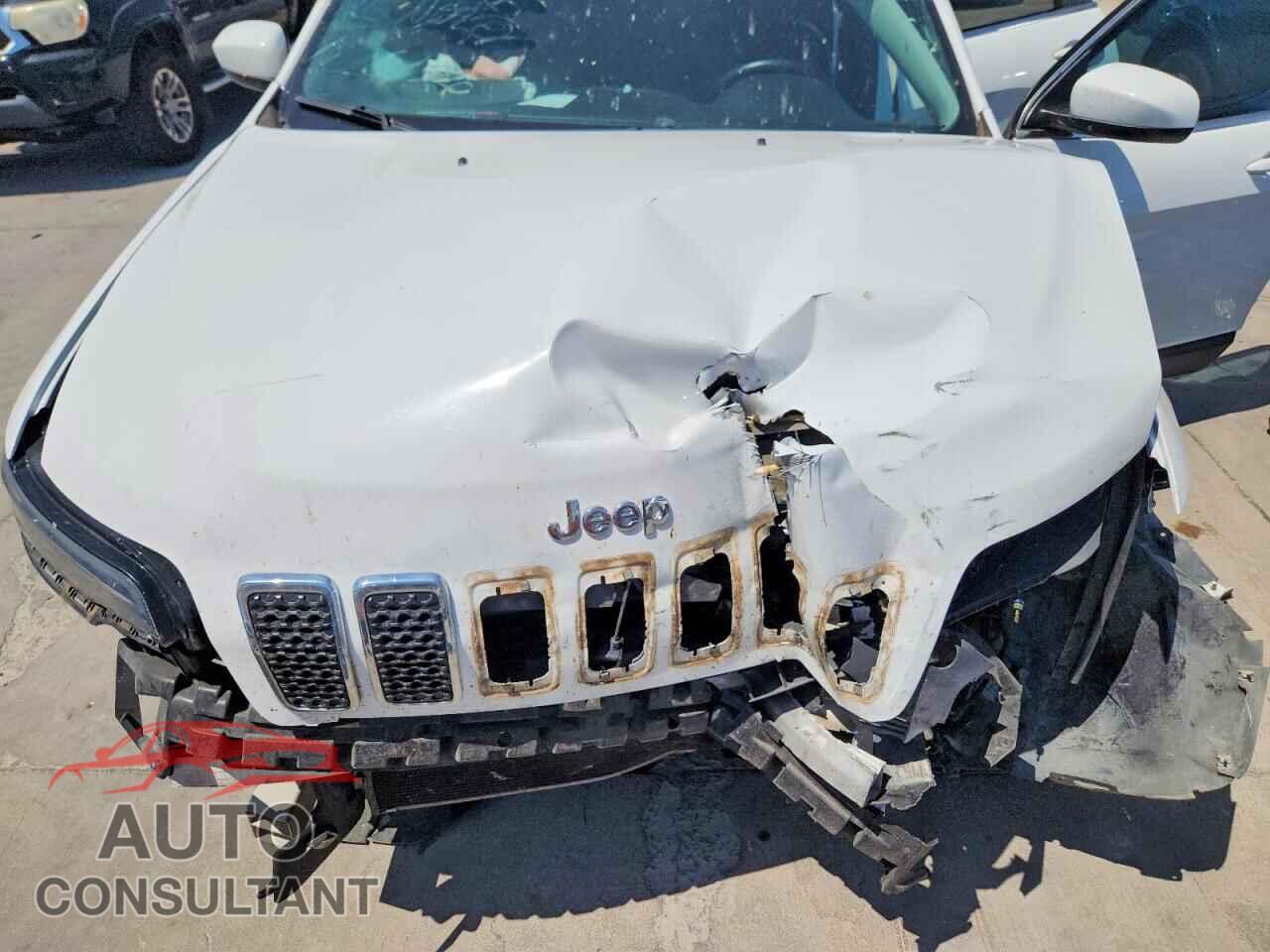 JEEP CHEROKEE 2019 - 1C4PJLLB9KD265781
