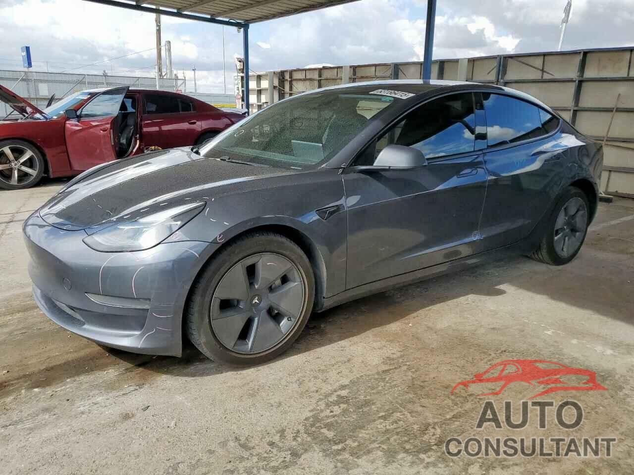 TESLA MODEL 3 2021 - 5YJ3E1EA1MF981842