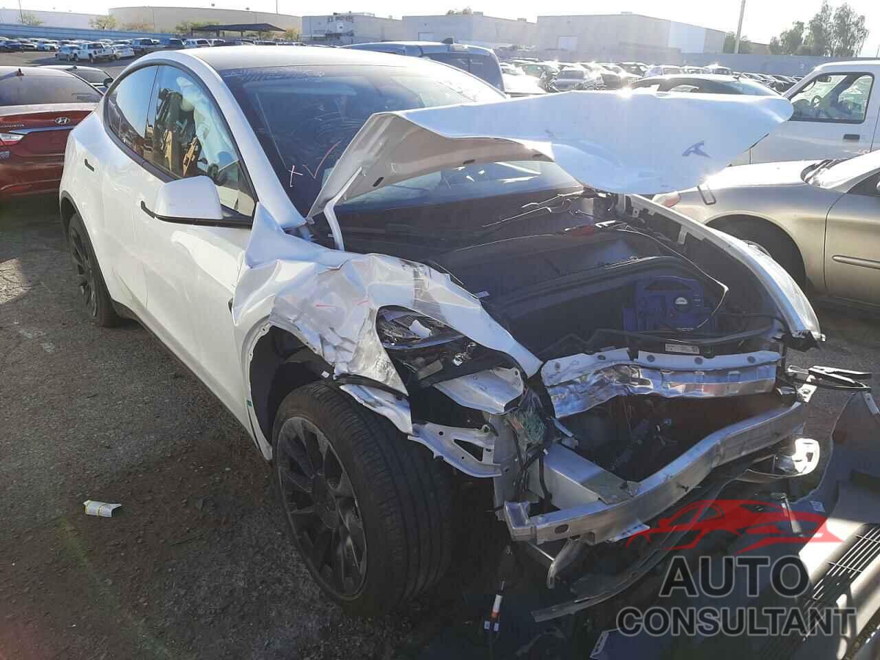 TESLA MODEL Y 2022 - 7SAYGDEE8NF480553