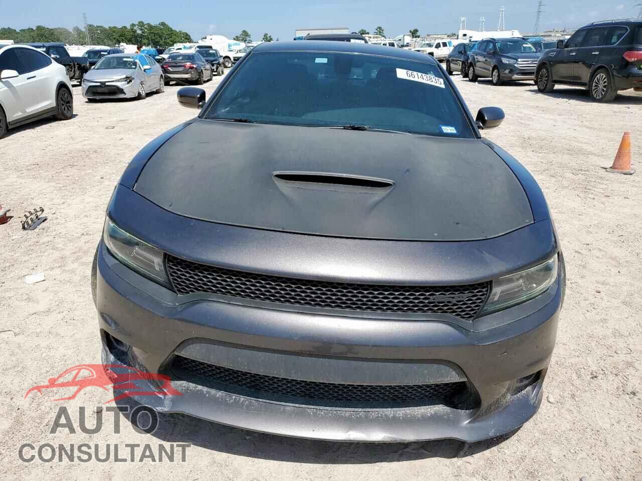 DODGE CHARGER 2019 - 2C3CDXCTXKH513100