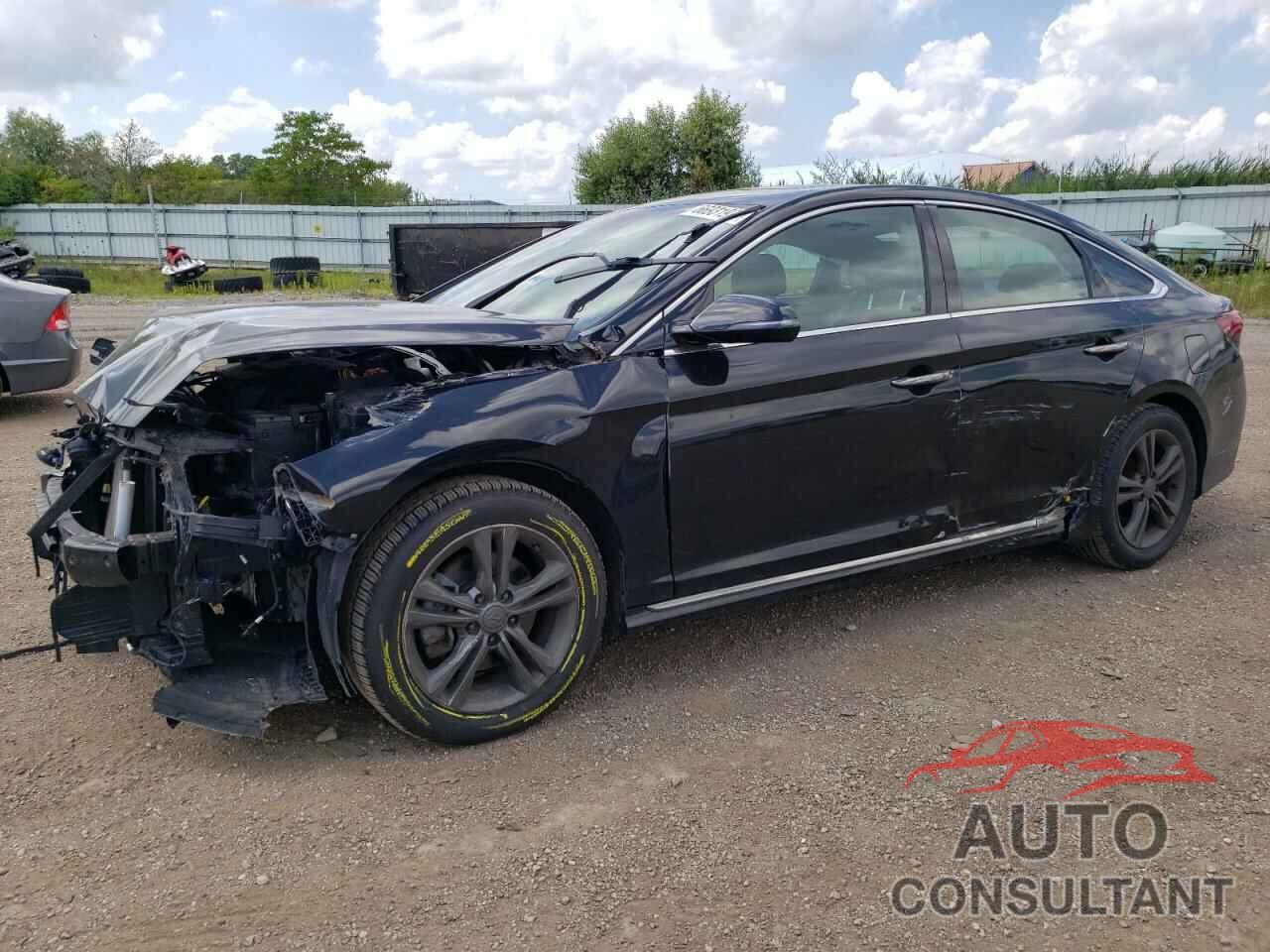 HYUNDAI SONATA 2019 - 5NPE34AF8KH821697
