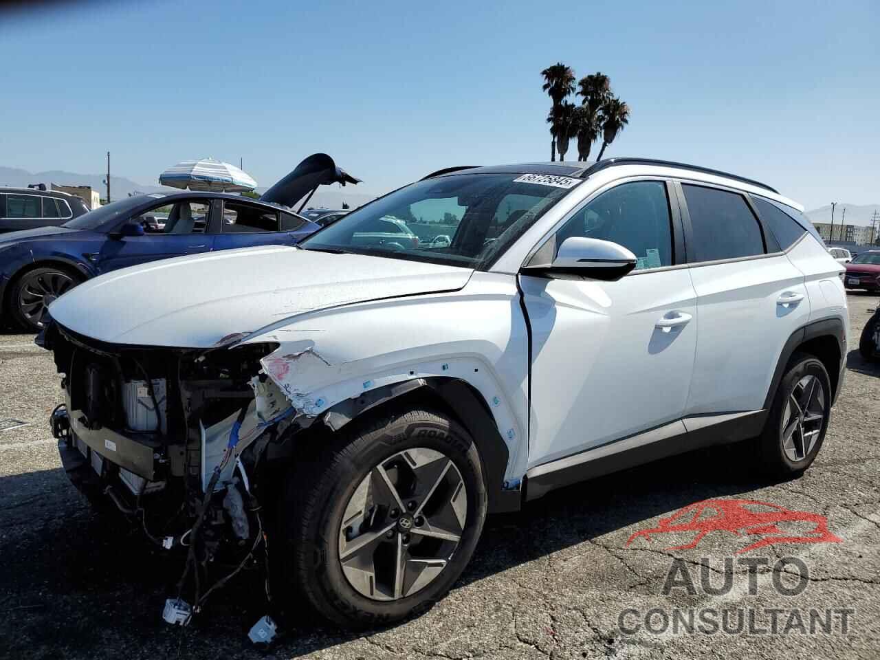 HYUNDAI TUCSON 2025 - KM8JCDD10SU251064