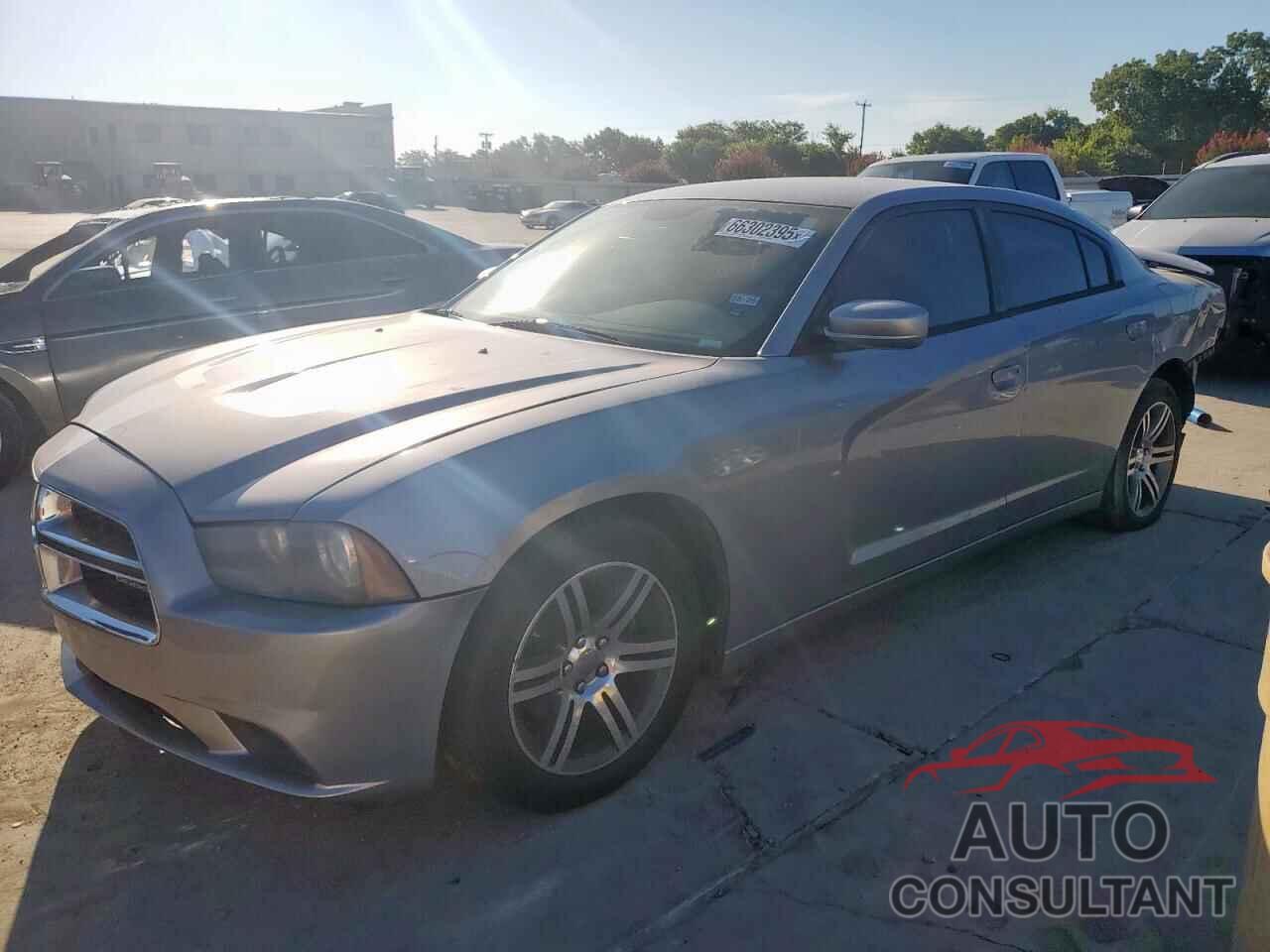 DODGE CHARGER 2014 - 2C3CDXBG0EH321709
