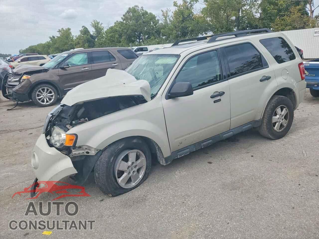 FORD ESCAPE 2009 - 1FMCU03GX9KD05948