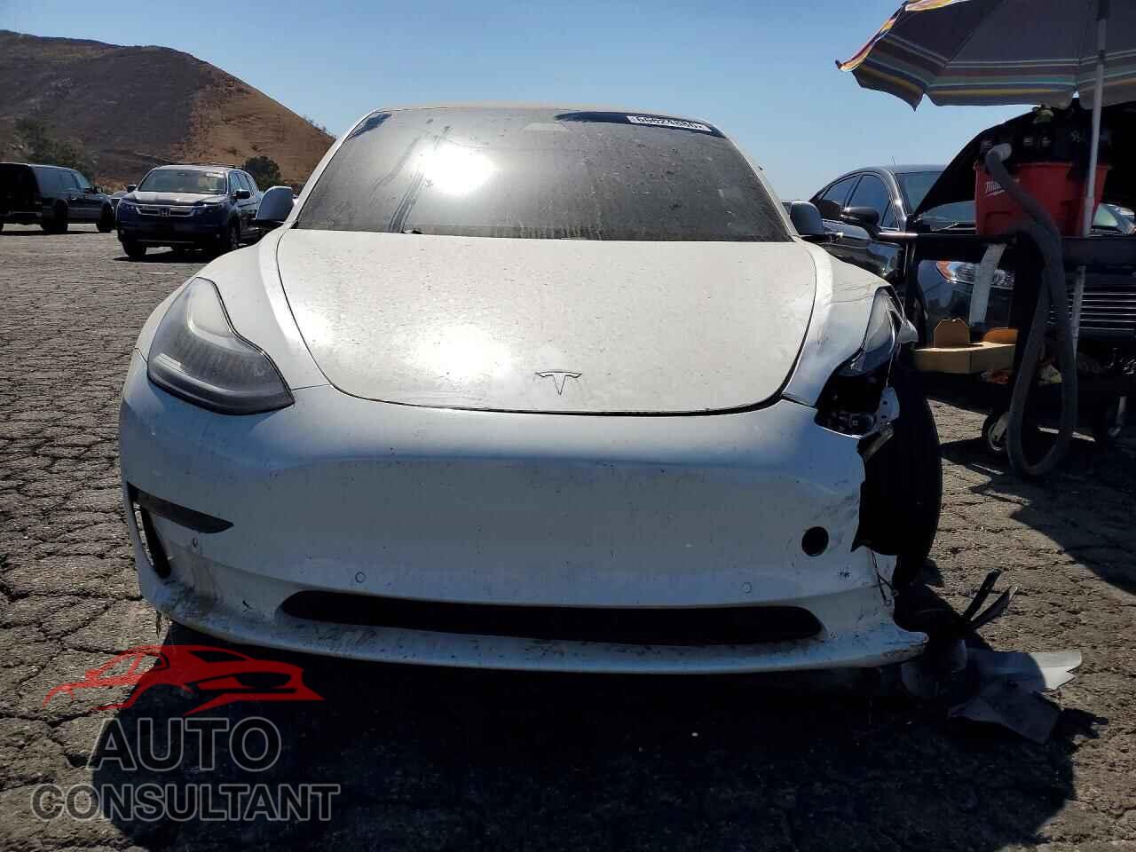TESLA MODEL 3 2021 - 5YJ3E1ECXMF072225