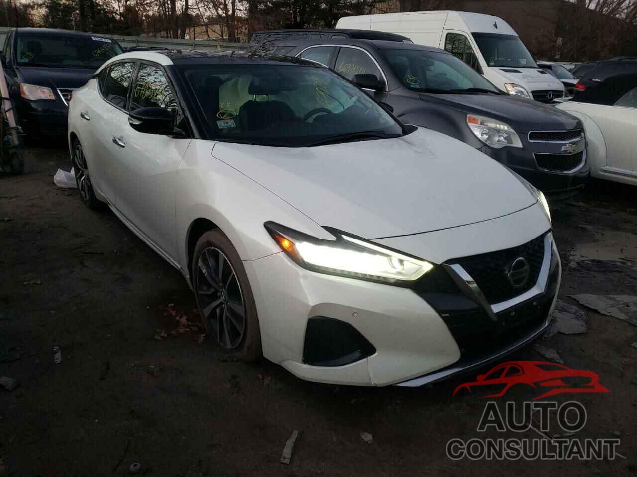 NISSAN MAXIMA 2019 - 1N4AA6AV9KC372586