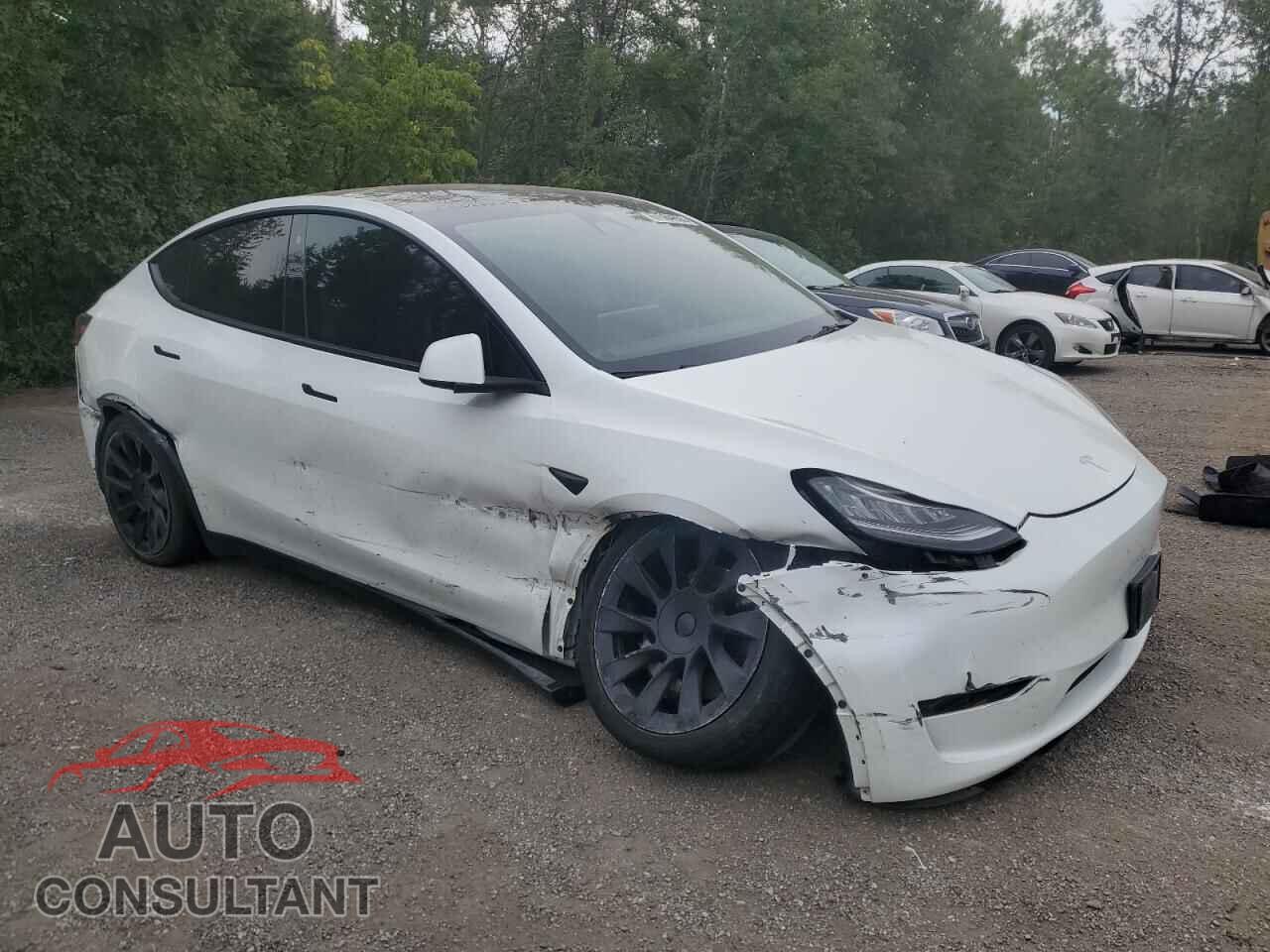 TESLA MODEL Y 2022 - 7SAYGDEE9NF514144