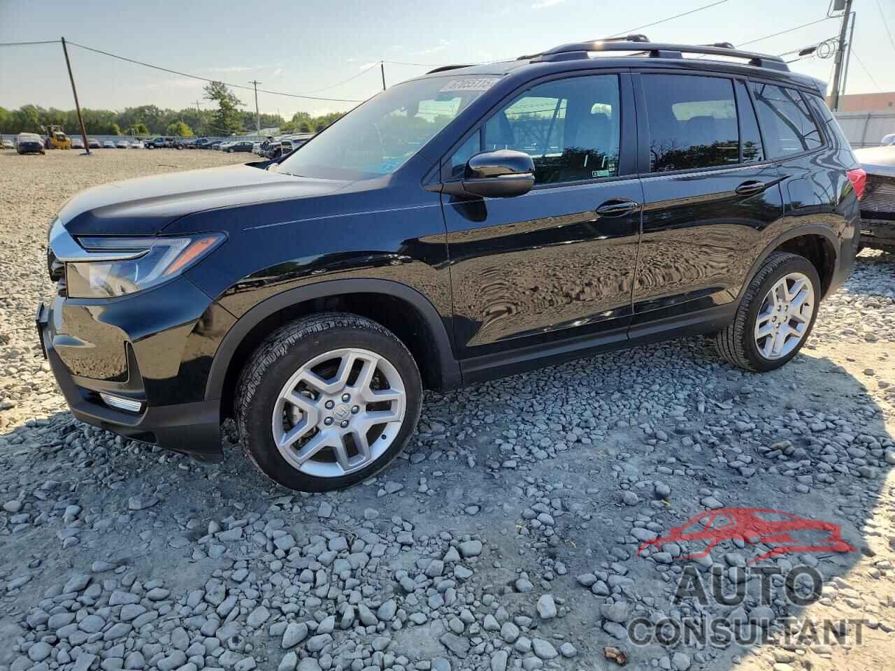 HONDA PASSPORT 2024 - 5FNYF8H5XRB013031