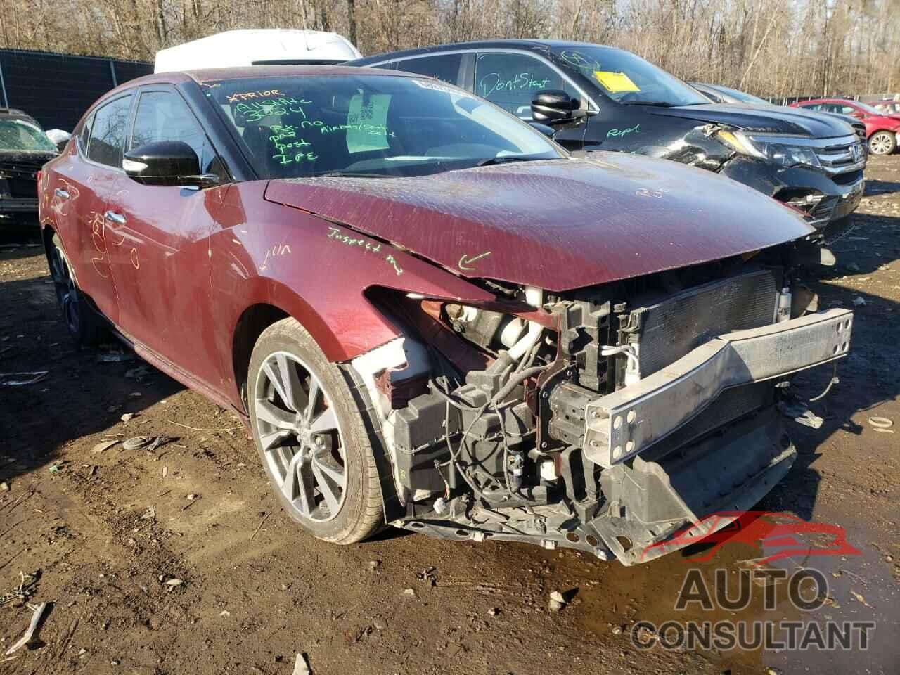 NISSAN MAXIMA 2016 - 1N4AA6AP9GC436991