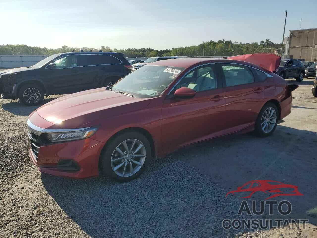 HONDA ACCORD 2022 - 1HGCV1F17NA024528