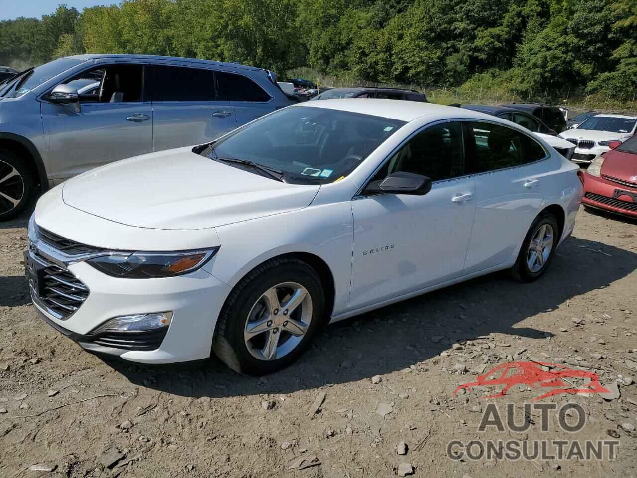 CHEVROLET MALIBU 2022 - 1G1ZB5ST6NF212842